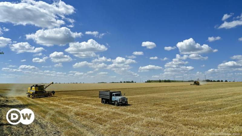 Як аномальна посуха в Україні позначилася на урожайності?