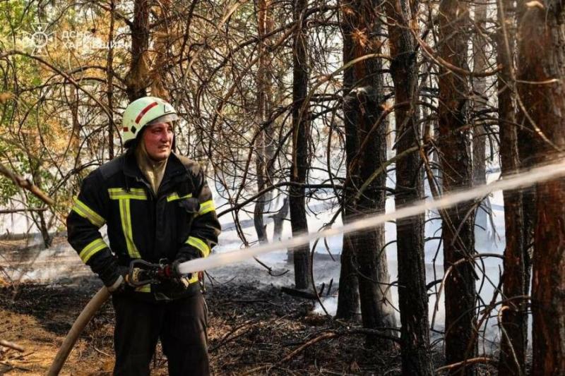 Палають ліси поблизу Безлюдовки та Малої Данилівки. Дивіться ВІДЕО.