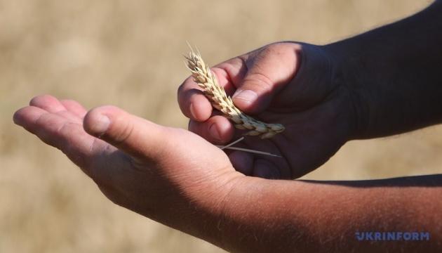 В Україні вже зібрано більше 44 мільйонів тонн нового урожаю.