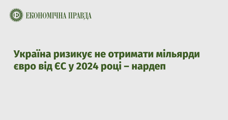 Україна може залишитися без мільярдних фінансових вливань з Європейського Союзу у 2024 році, попереджає депутат.