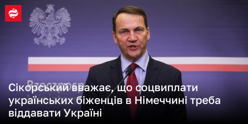 Сікорський висловлює думку, що соціальні виплати українських біженців у Німеччині слід направляти назад в Україну.