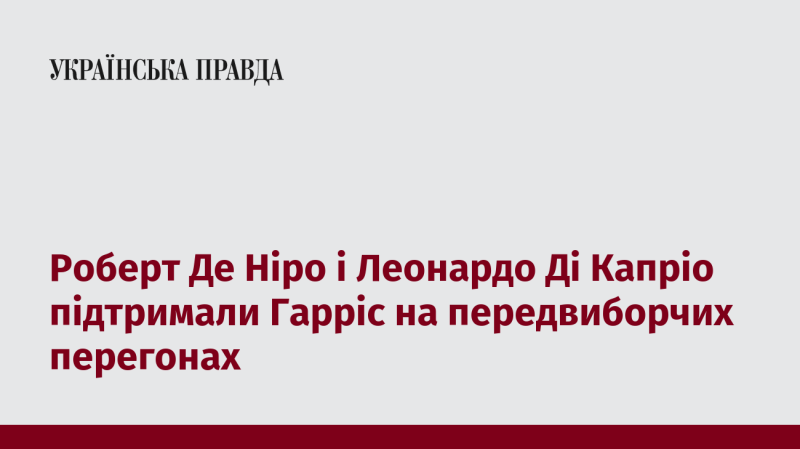 Роберт Де Ніро та Леонардо Ді Капріо висловили свою підтримку Гарріс під час виборчої кампанії.