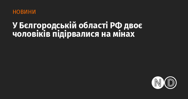 У Бєлгородській області Росії двоє чоловіків стали жертвами вибуху мін.